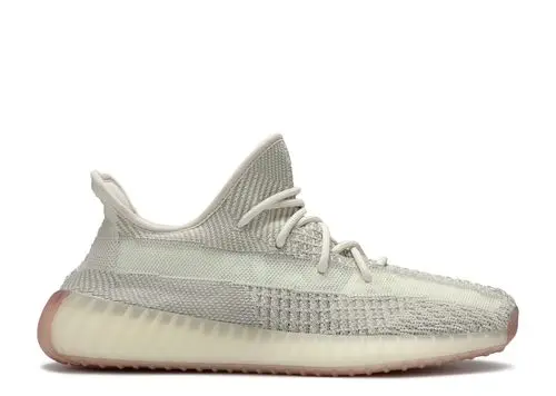YEEZY 350