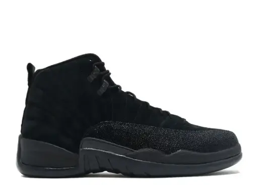 OVO JORDAN RETRO 12 BLACK